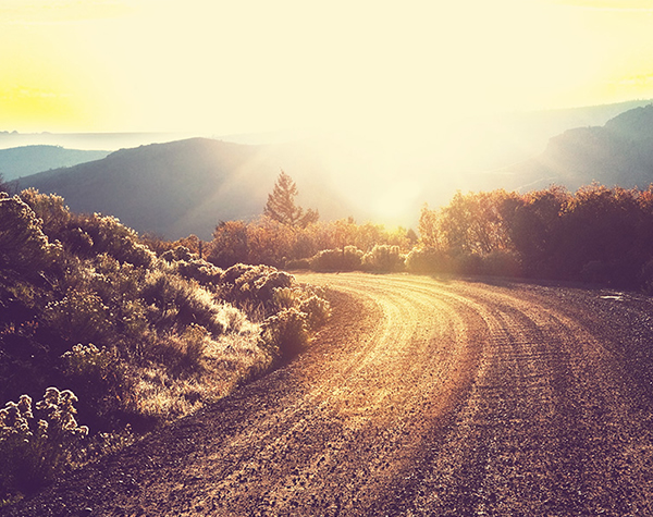 lorem ipsum dolor sit